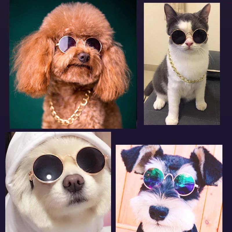 Suministros Para Perros Paquete De 2 Gafas Para Mascotas G 